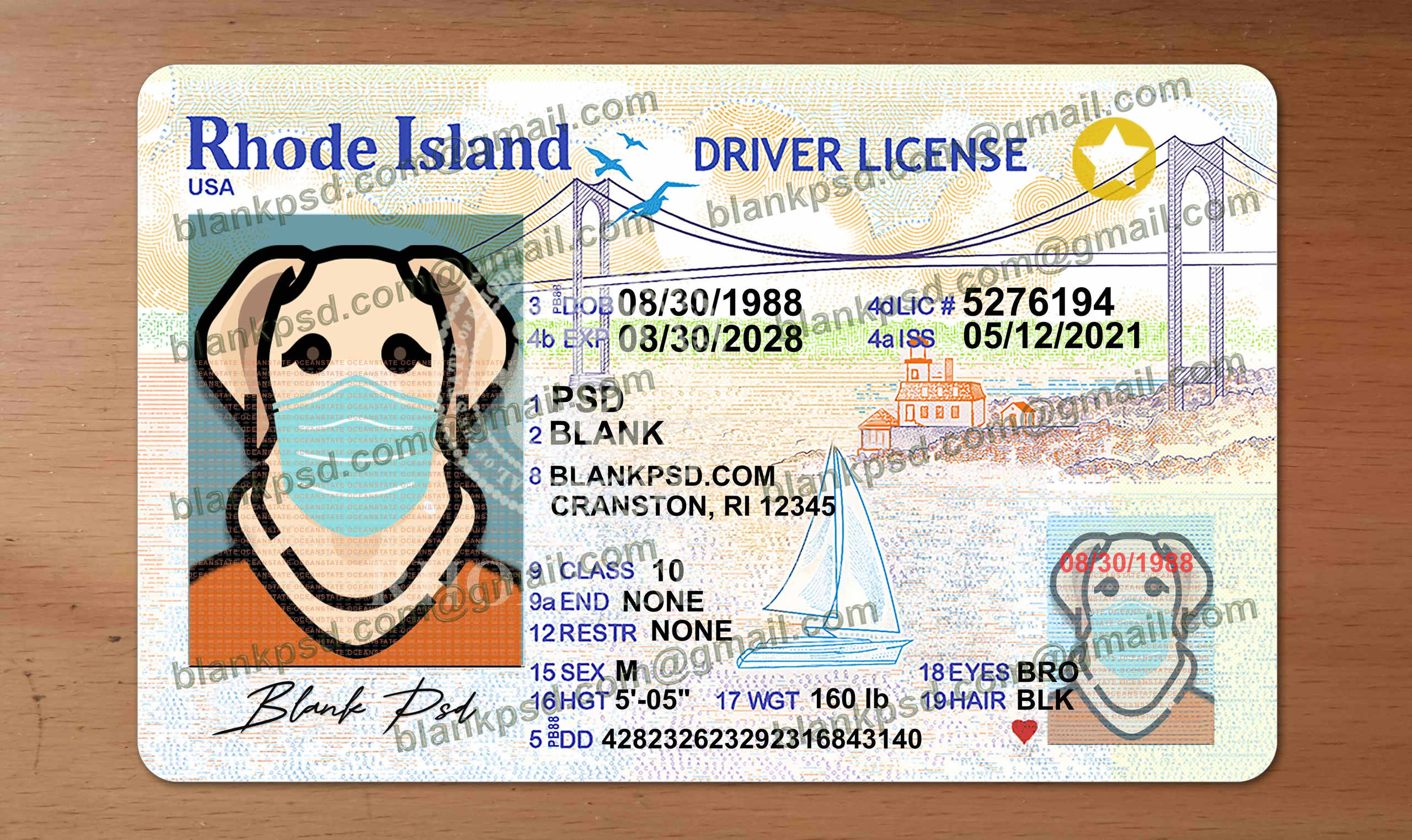 rhode island drivers license template