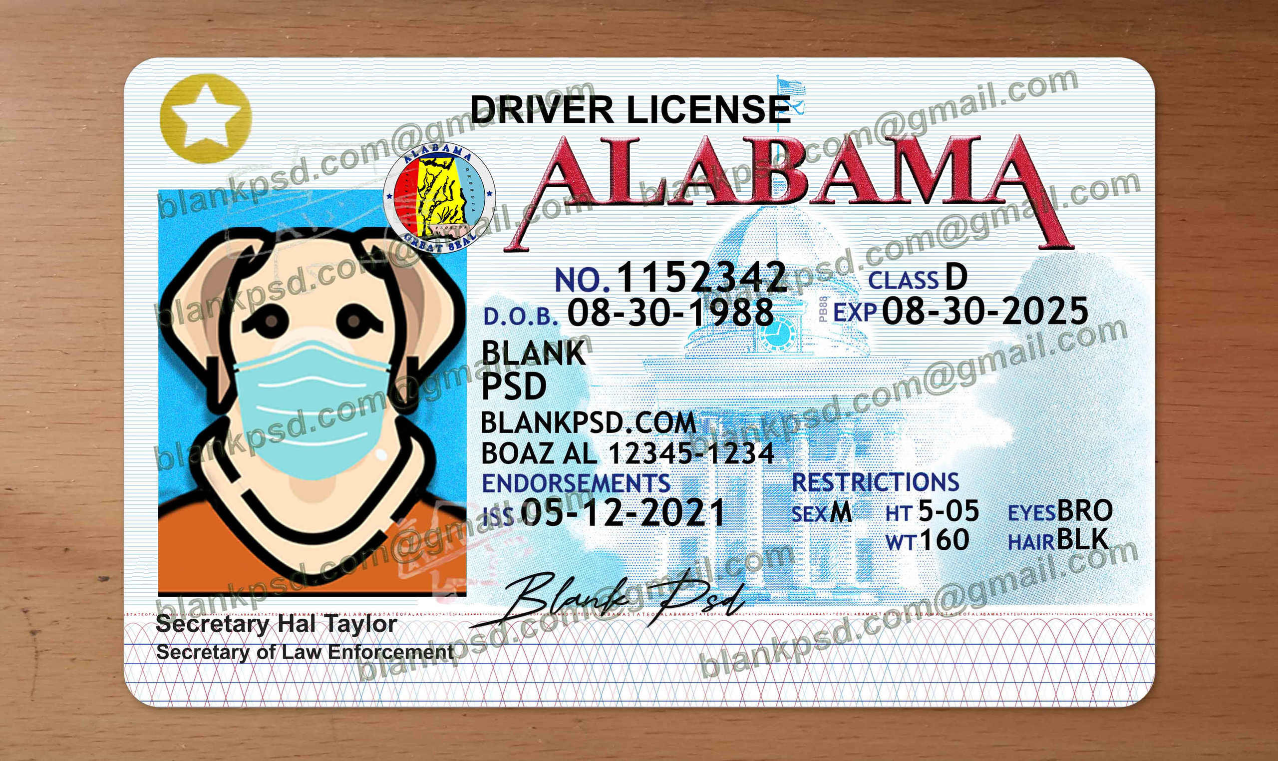 blank alabama drivers license