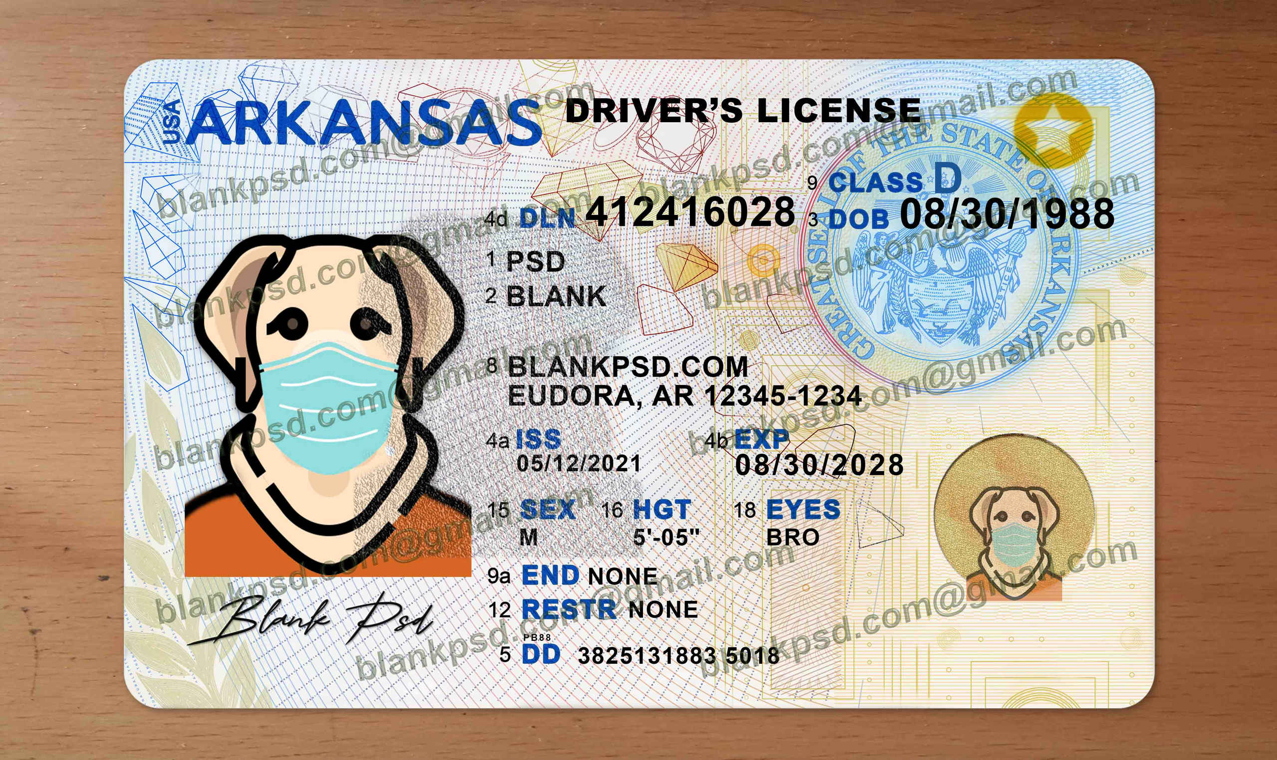 blank arkansas drivers license template