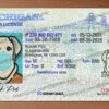 blank michigan drivers license template