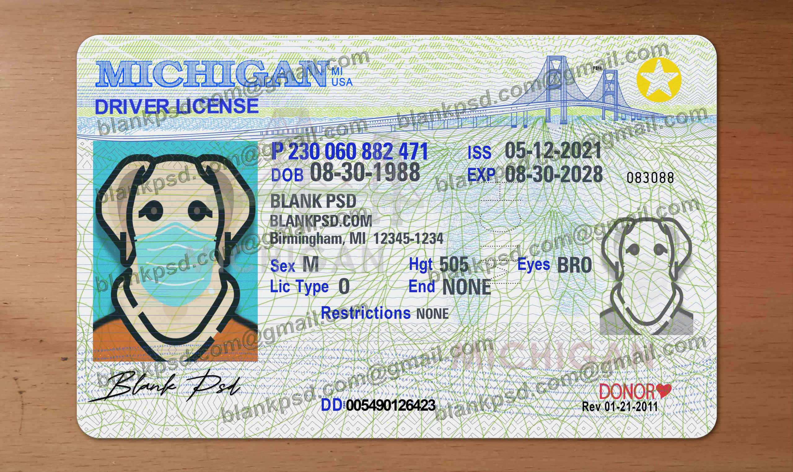 blank michigan drivers license template