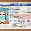 delaware drivers license psd