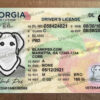 fake georgia drivers license