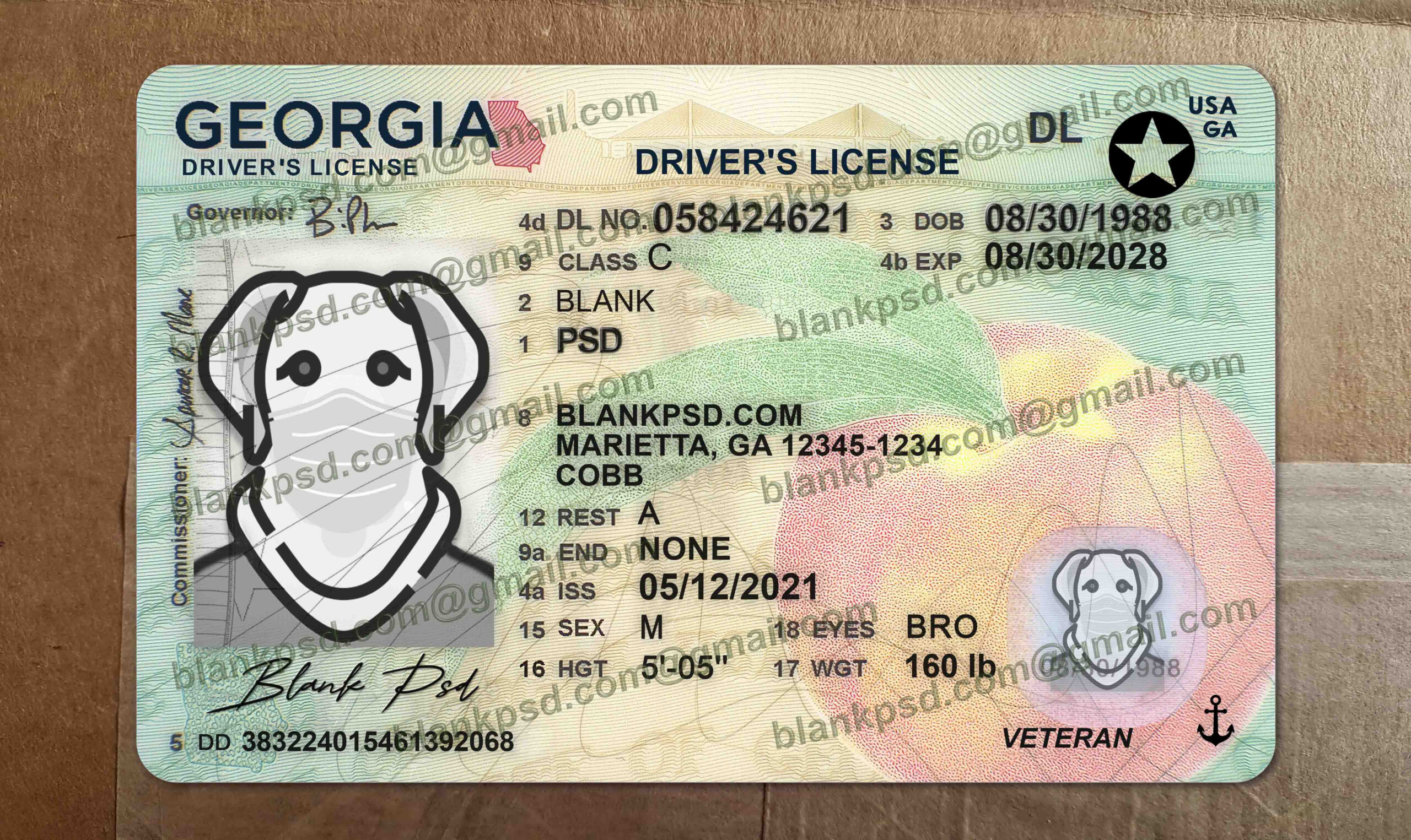 fake georgia drivers license