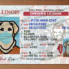 blank illinois drivers license template