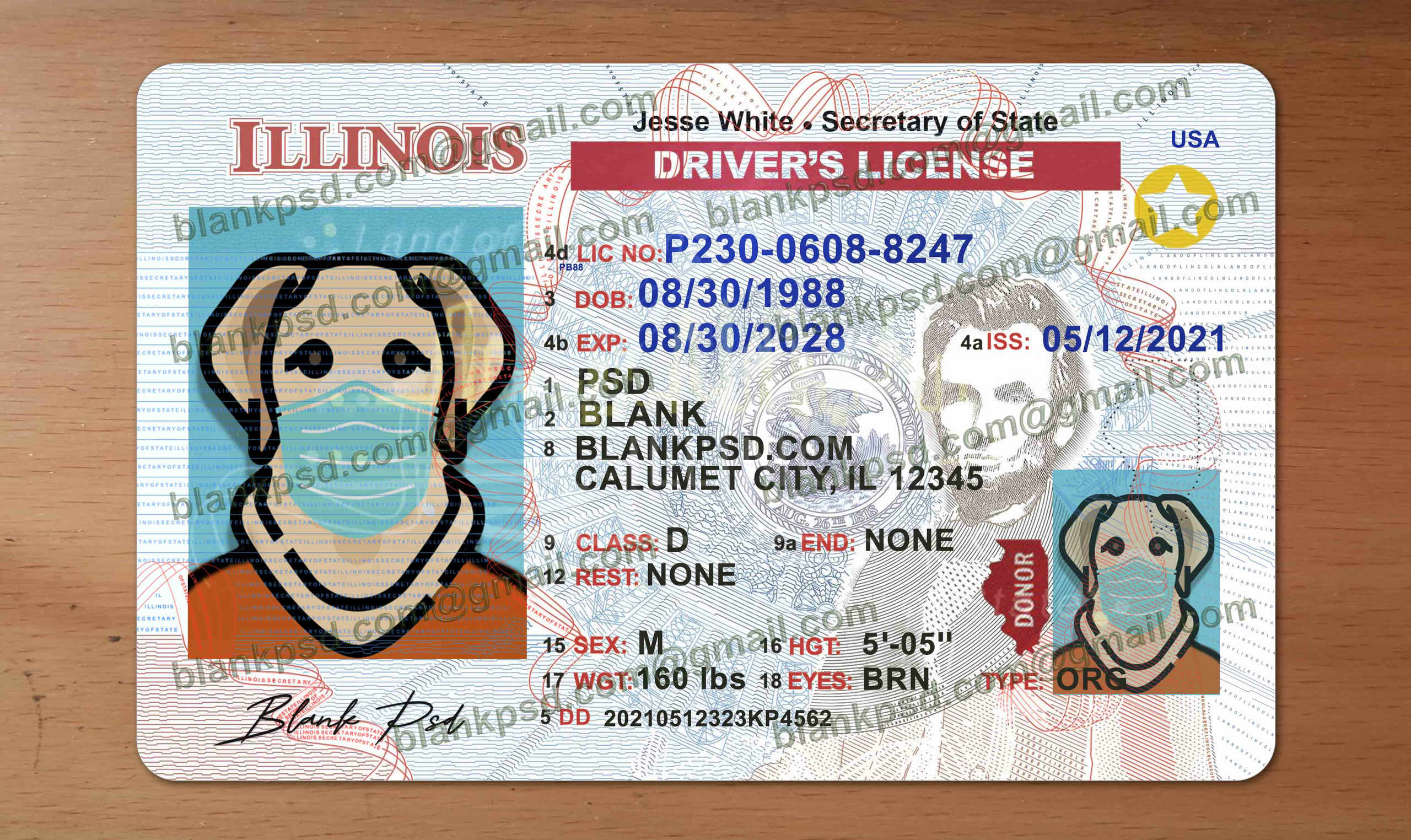 blank illinois drivers license template