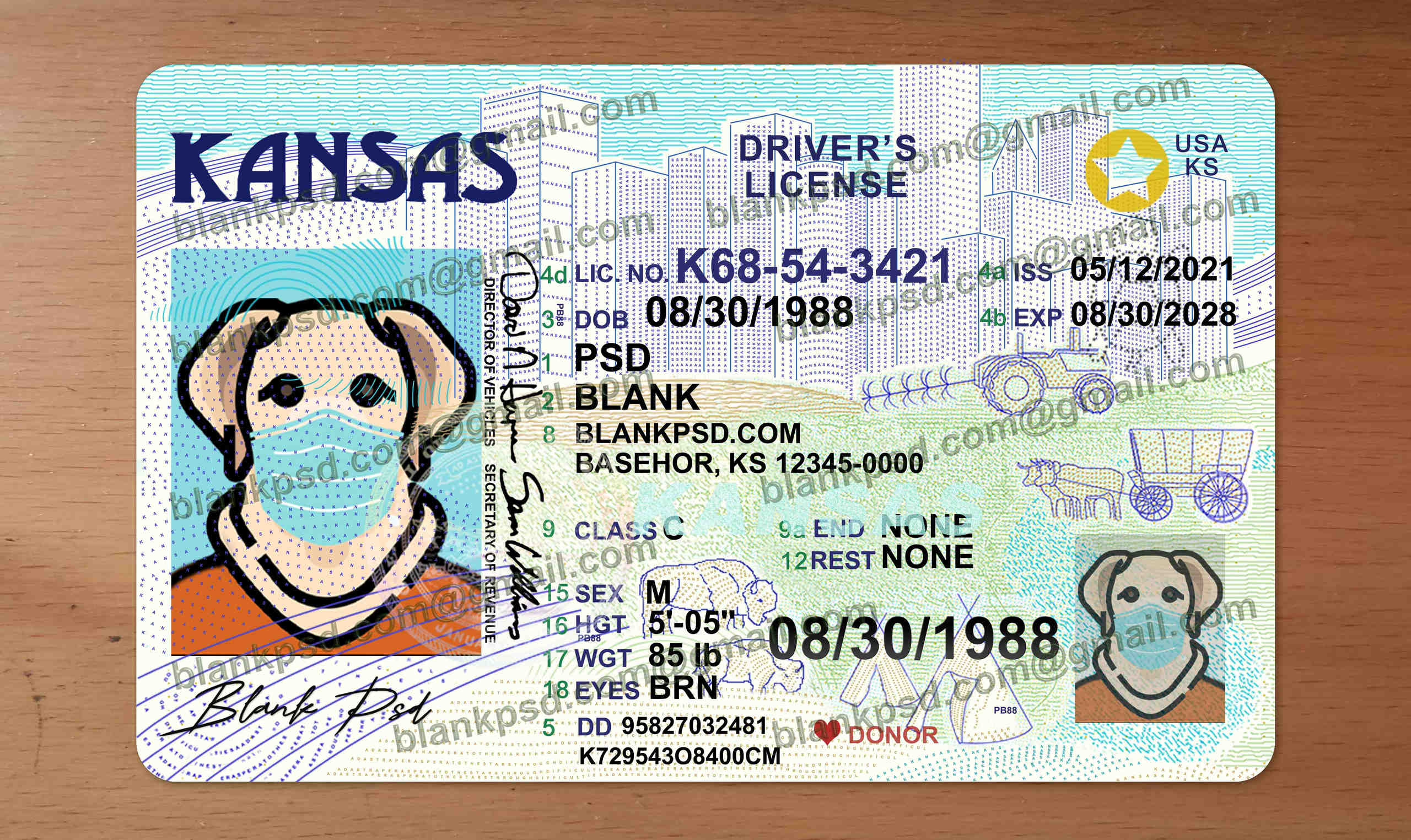 kansas drivers license template