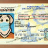 louisiana drivers license template