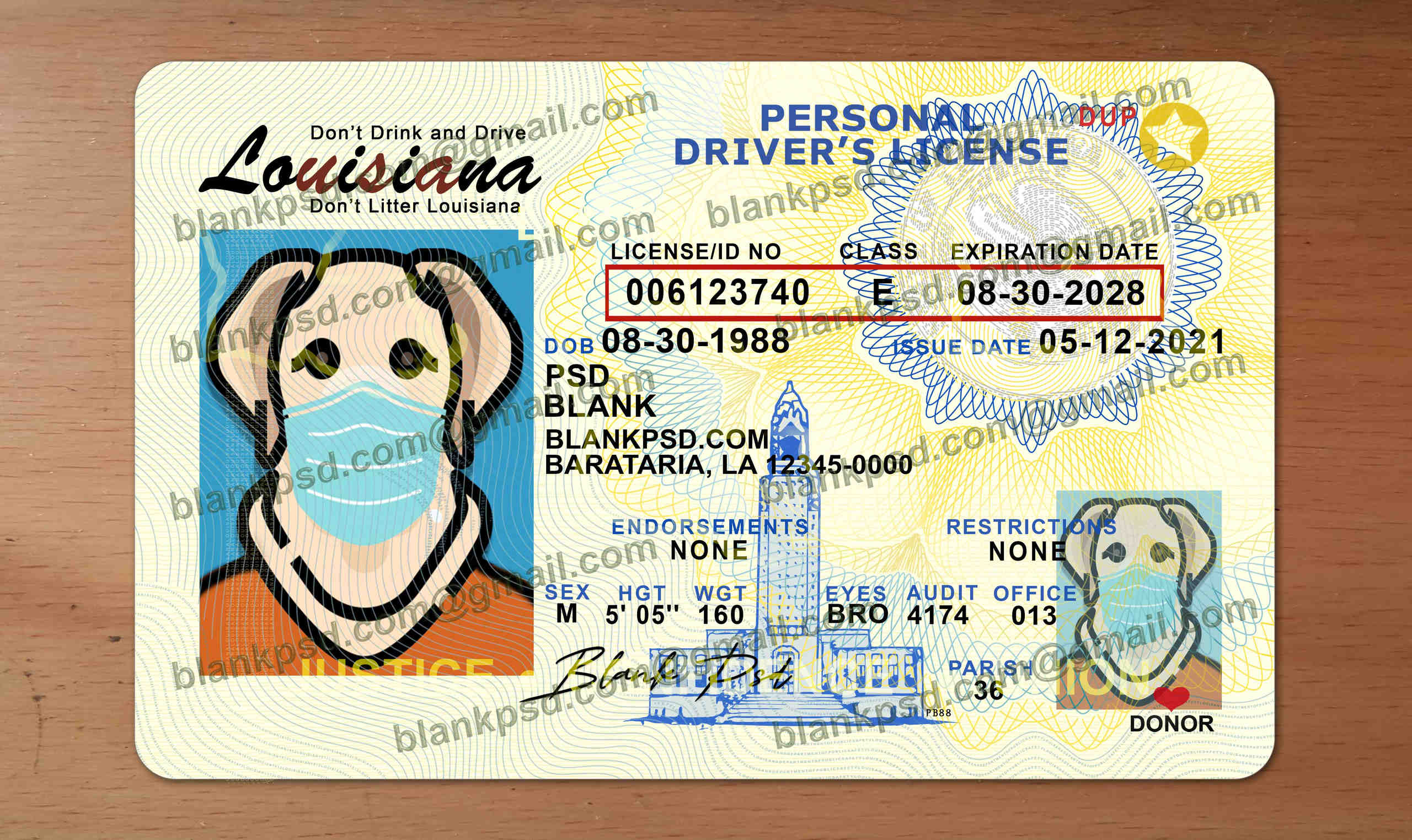 louisiana drivers license template