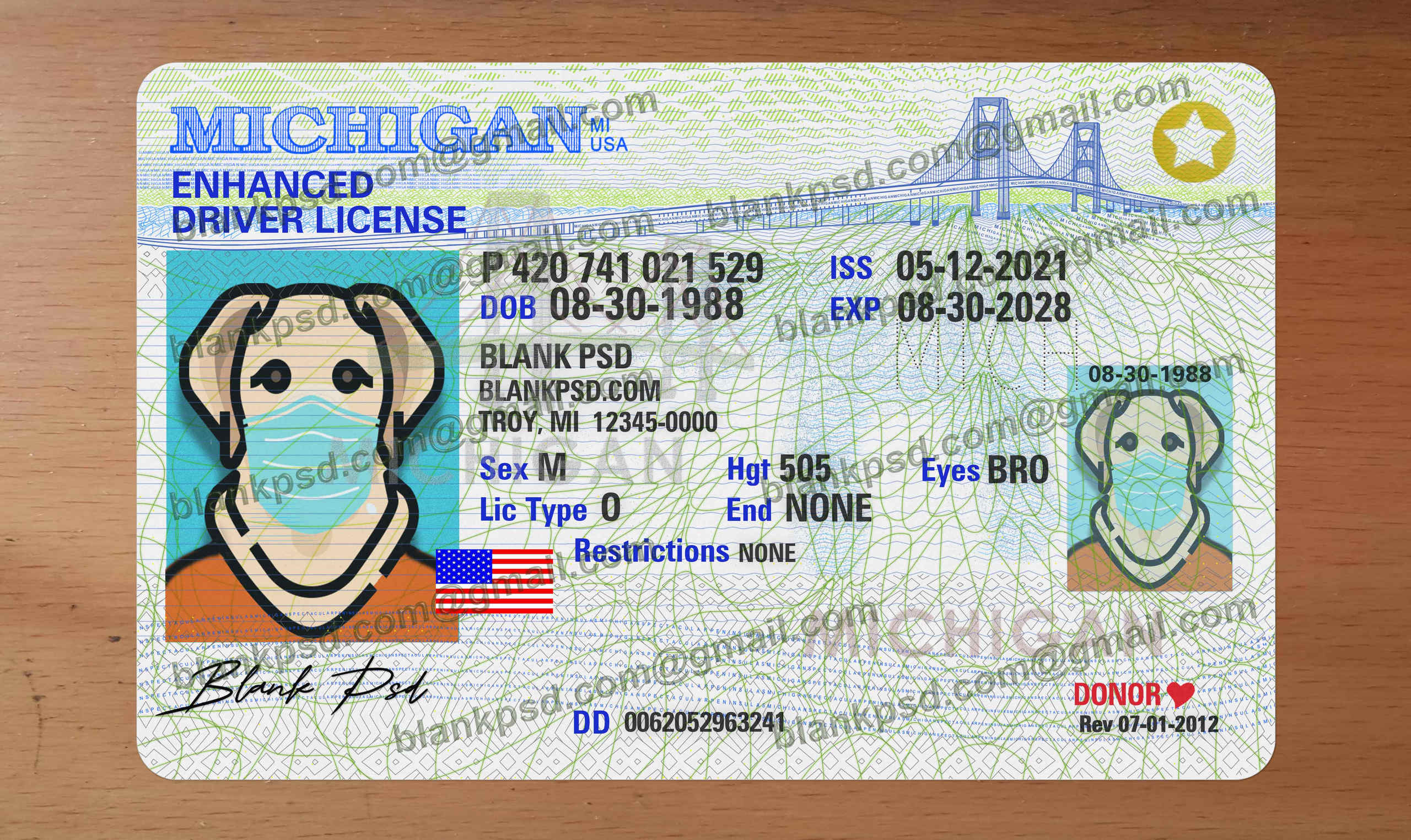 michigan enhanced driver license psd