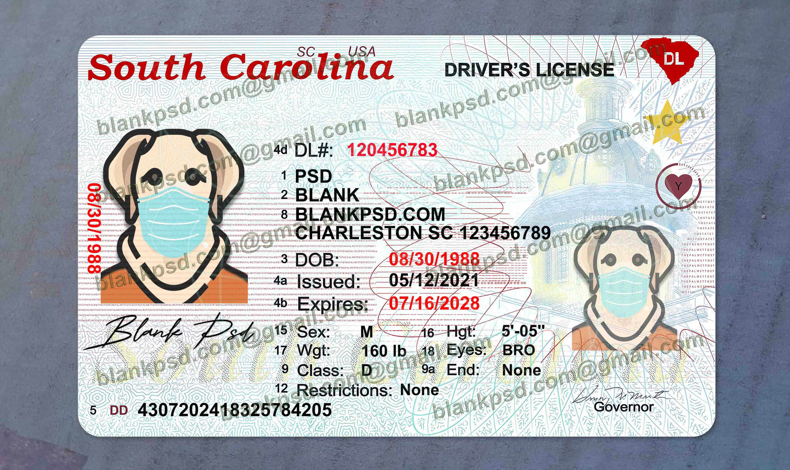 south carolina drivers license psd