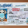 south dakota drivers license psd