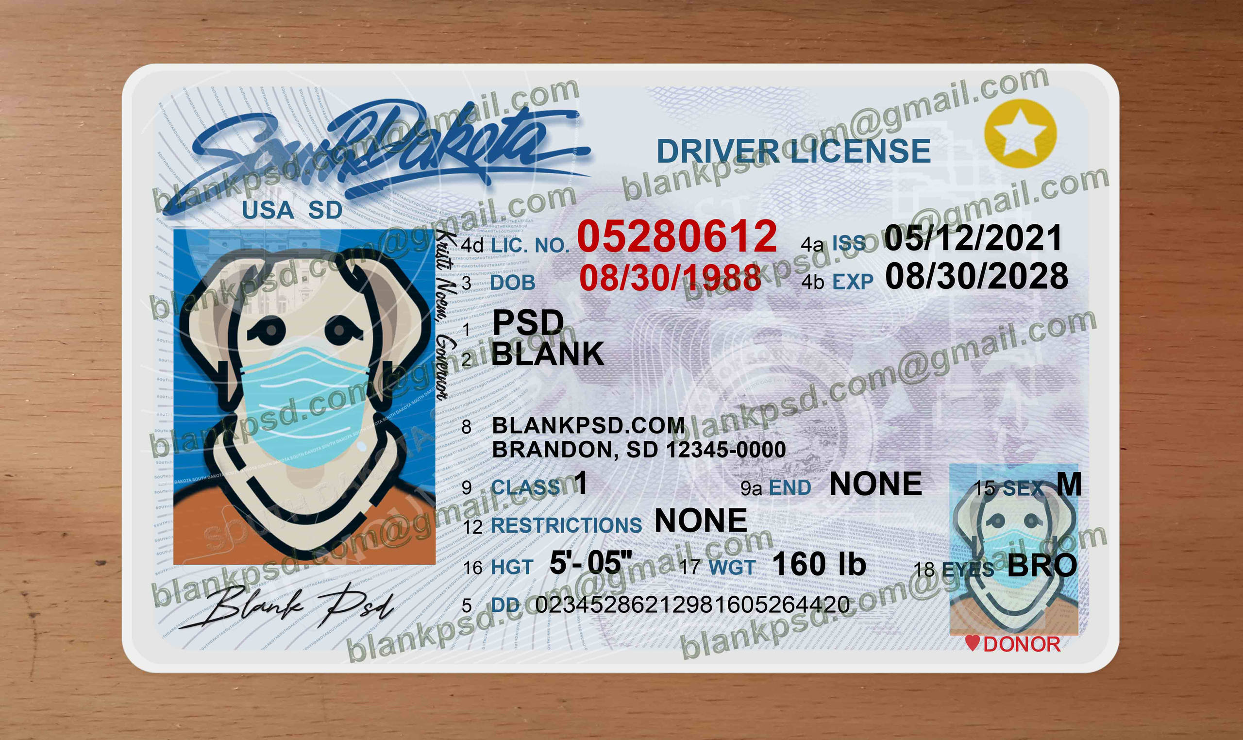 south dakota drivers license psd