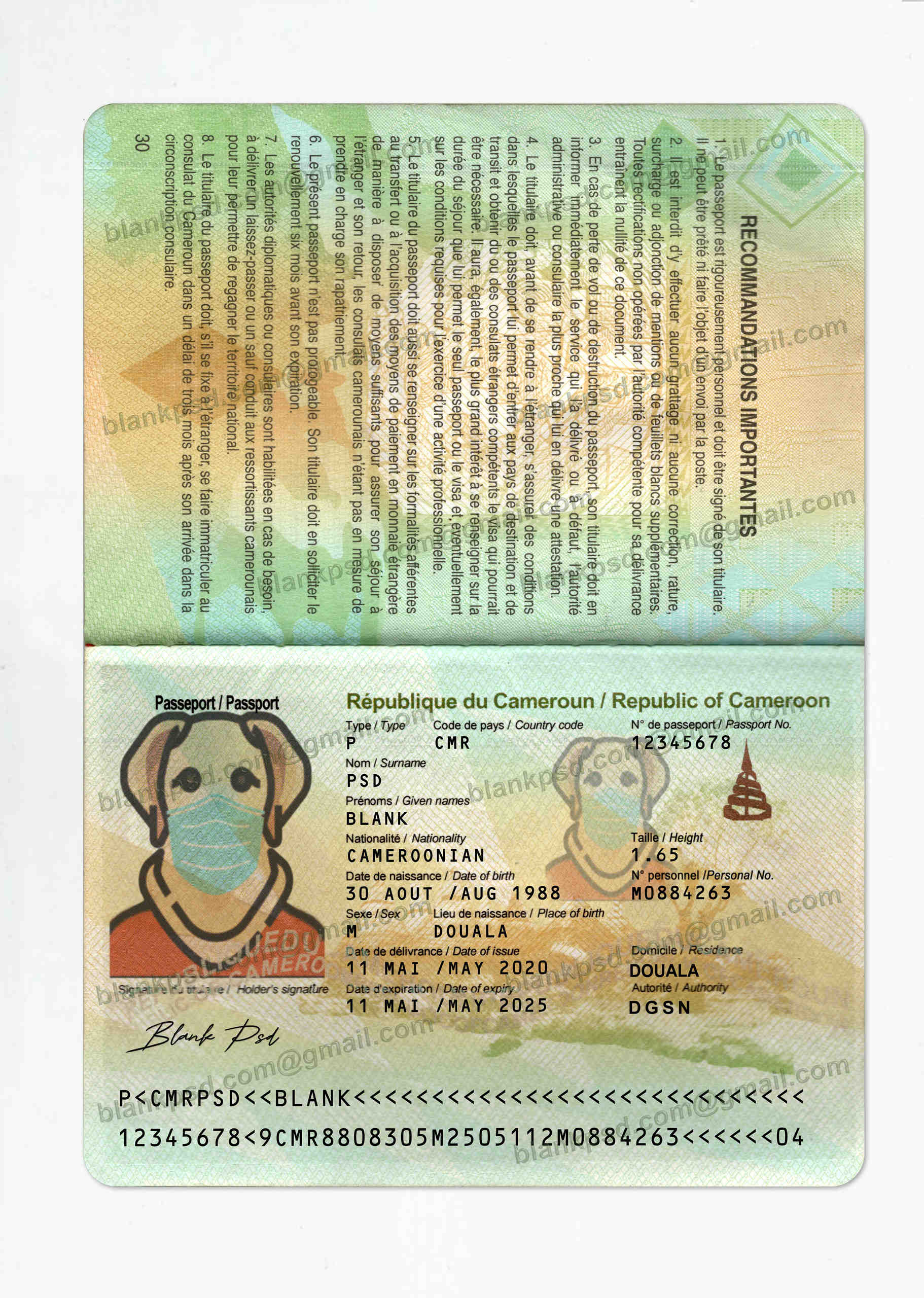 fake cameroonian passport template