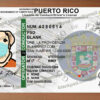 puerto rico drivers license template