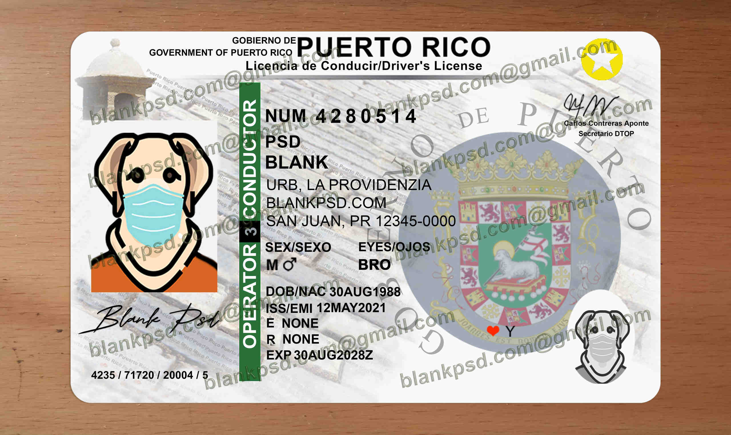 puerto rico drivers license template