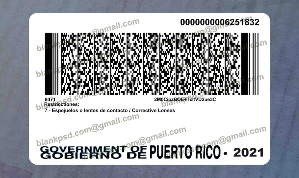 puerto rico drivers license back