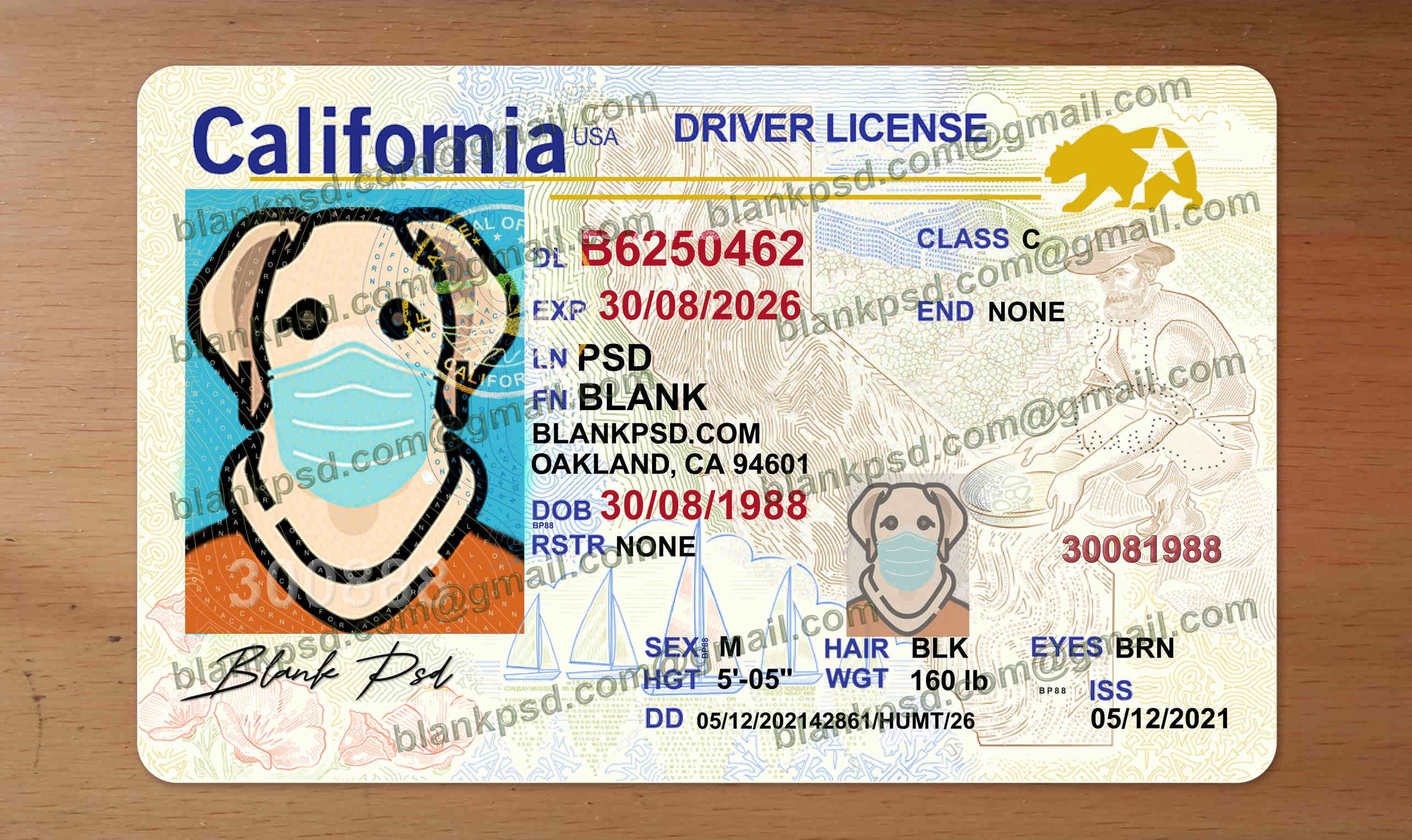 california drivers license template