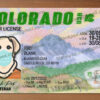 colorado drivers license template