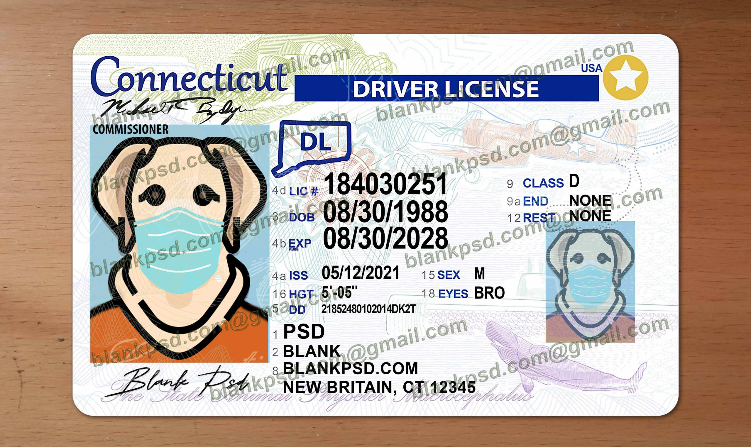 Connecticut Drivers License Template