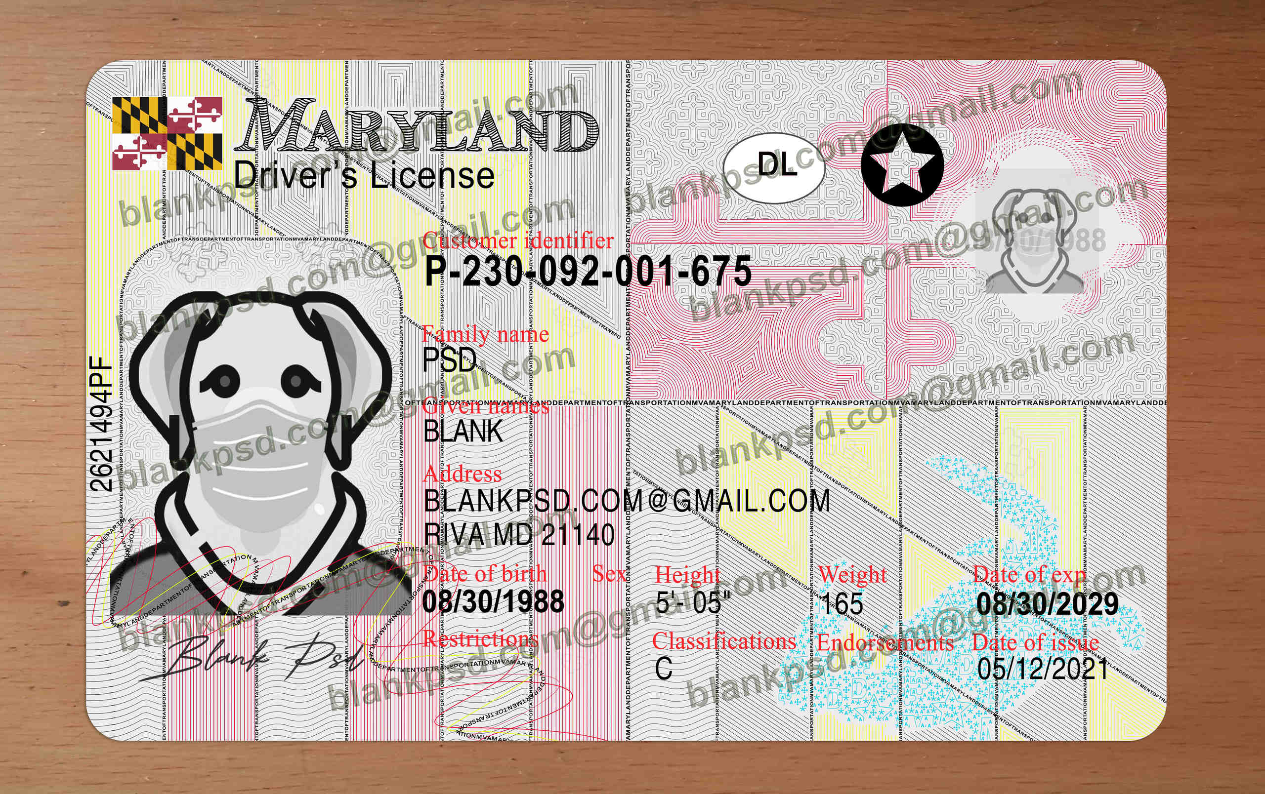 maryland driver's license template