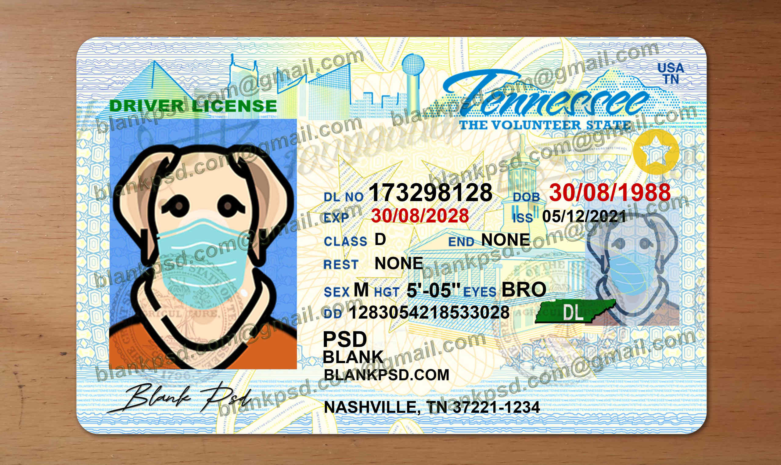 blank tennessee drivers license template