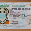 florida driver license template