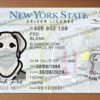 ny drivers license template