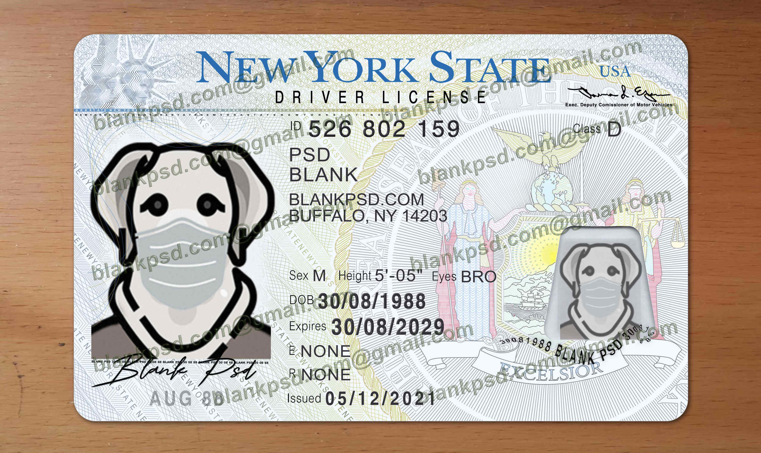 ny drivers license template