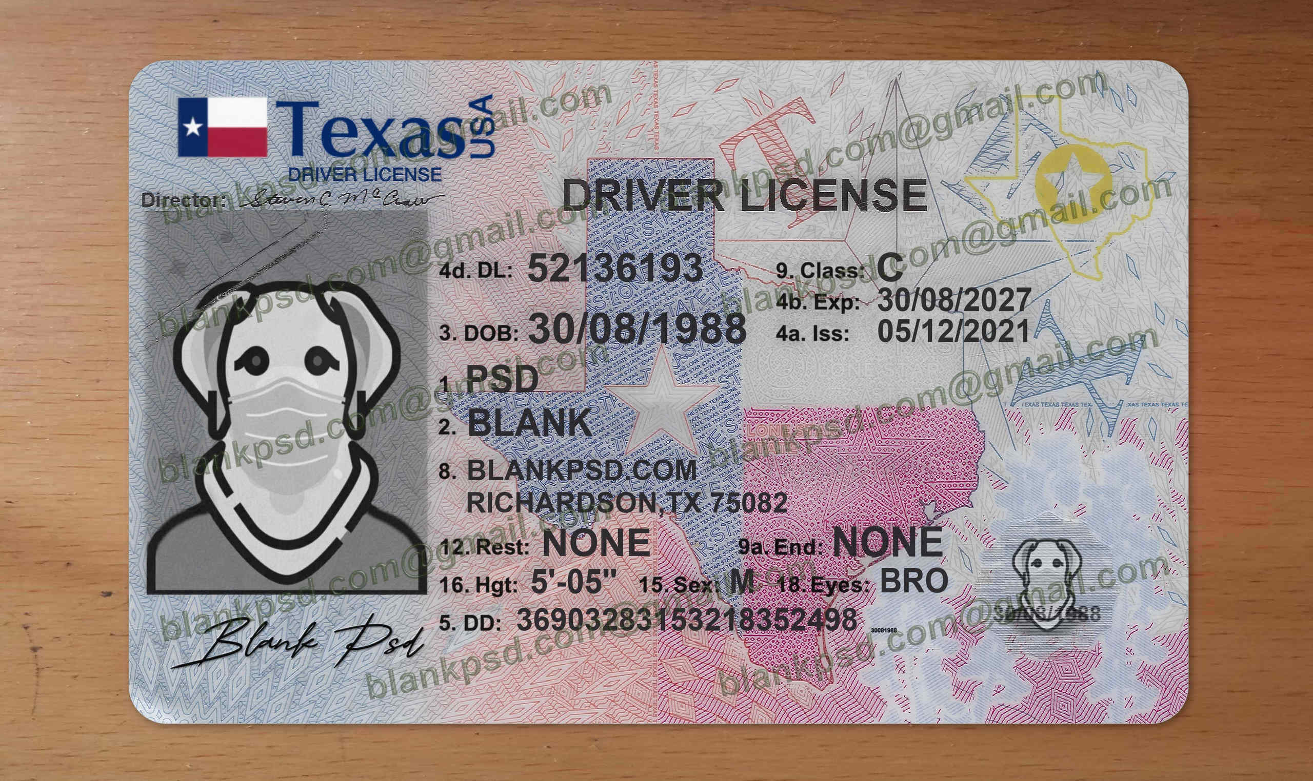 texas driving license template
