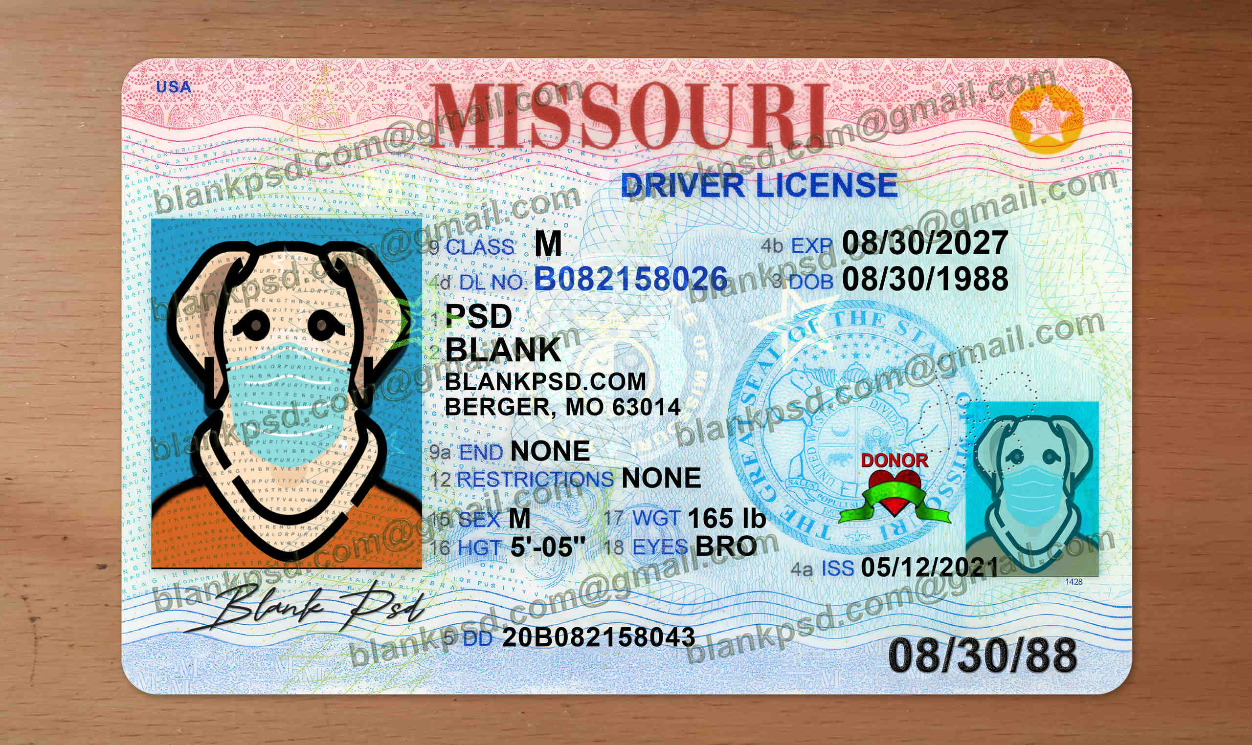 fake missouri drivers license template