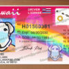 hawaii drivers license template