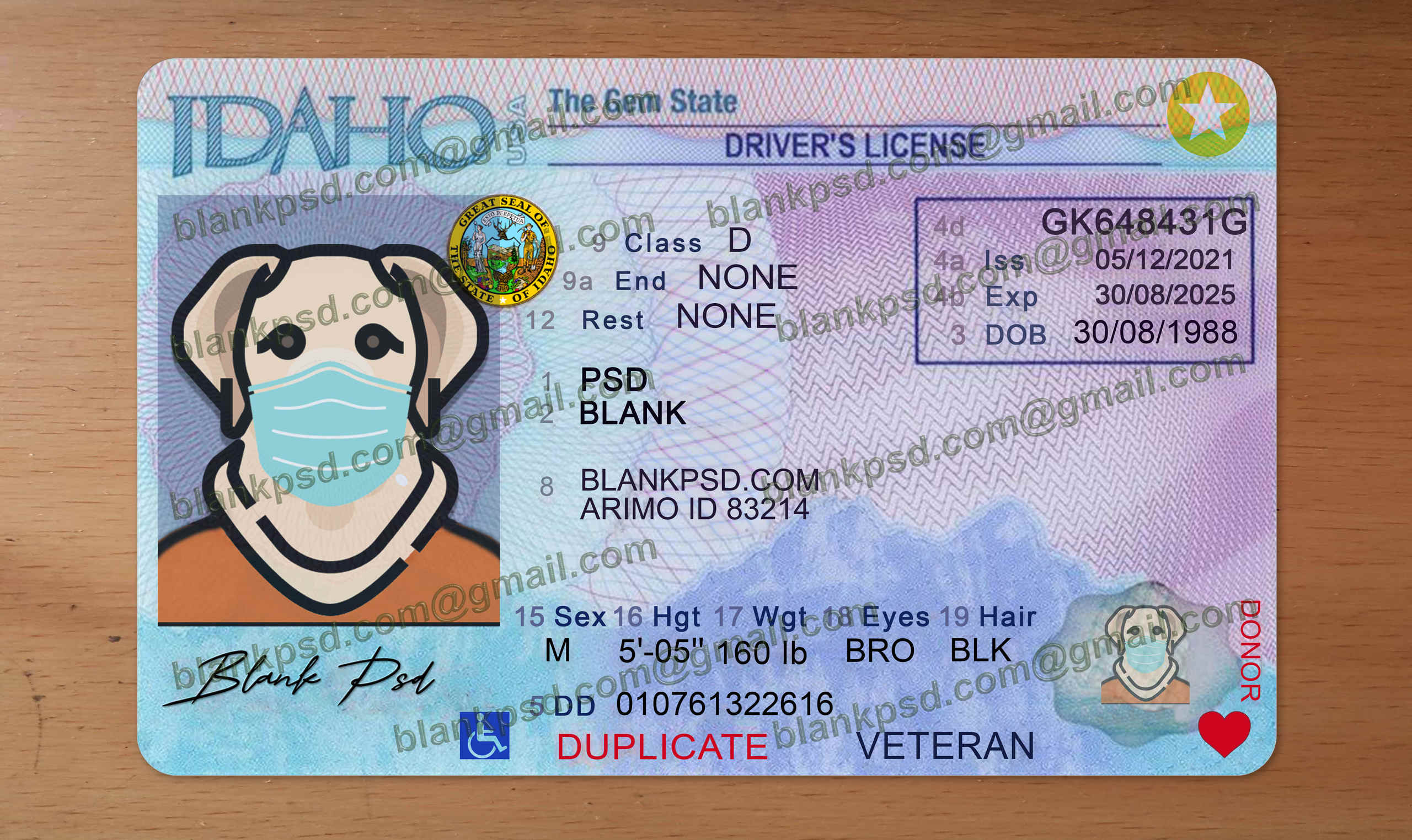 idaho drivers license template