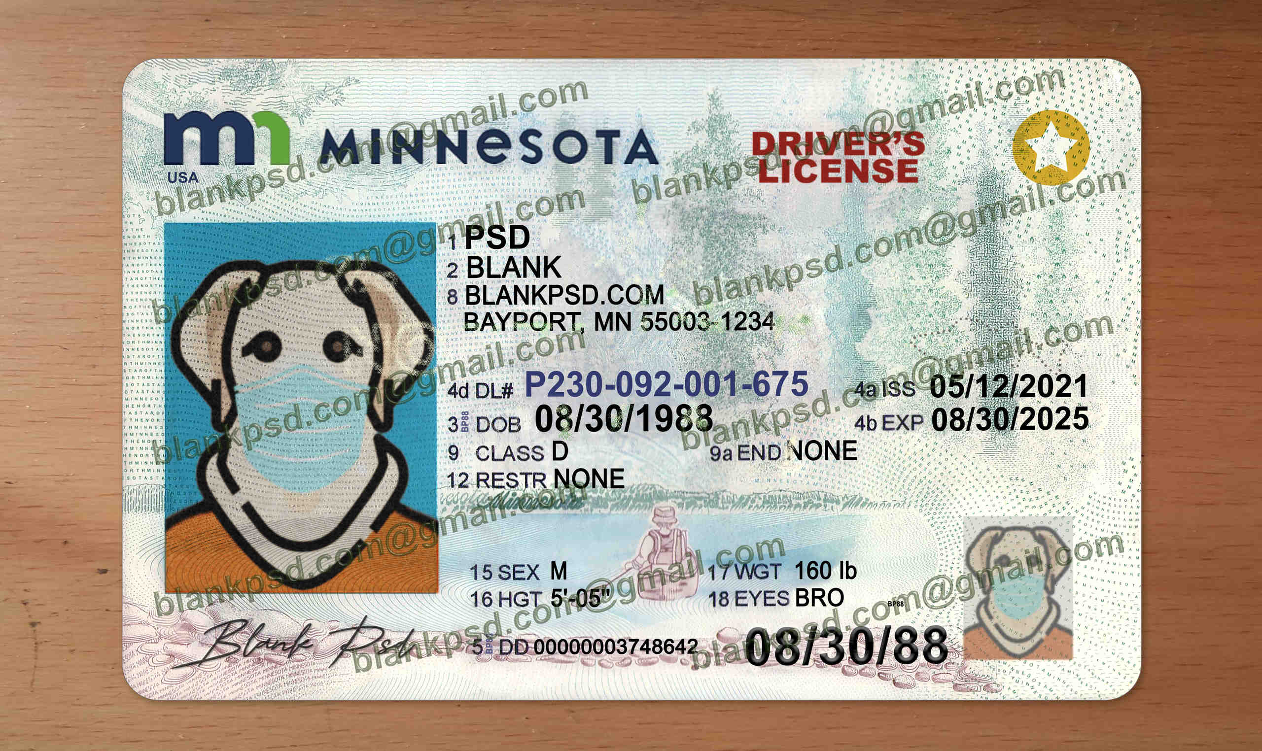 minnesota drivers license template