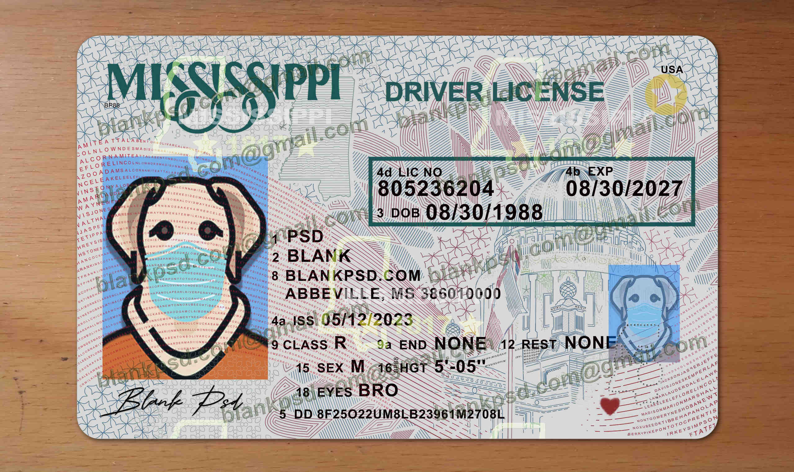 mississippi drivers license template