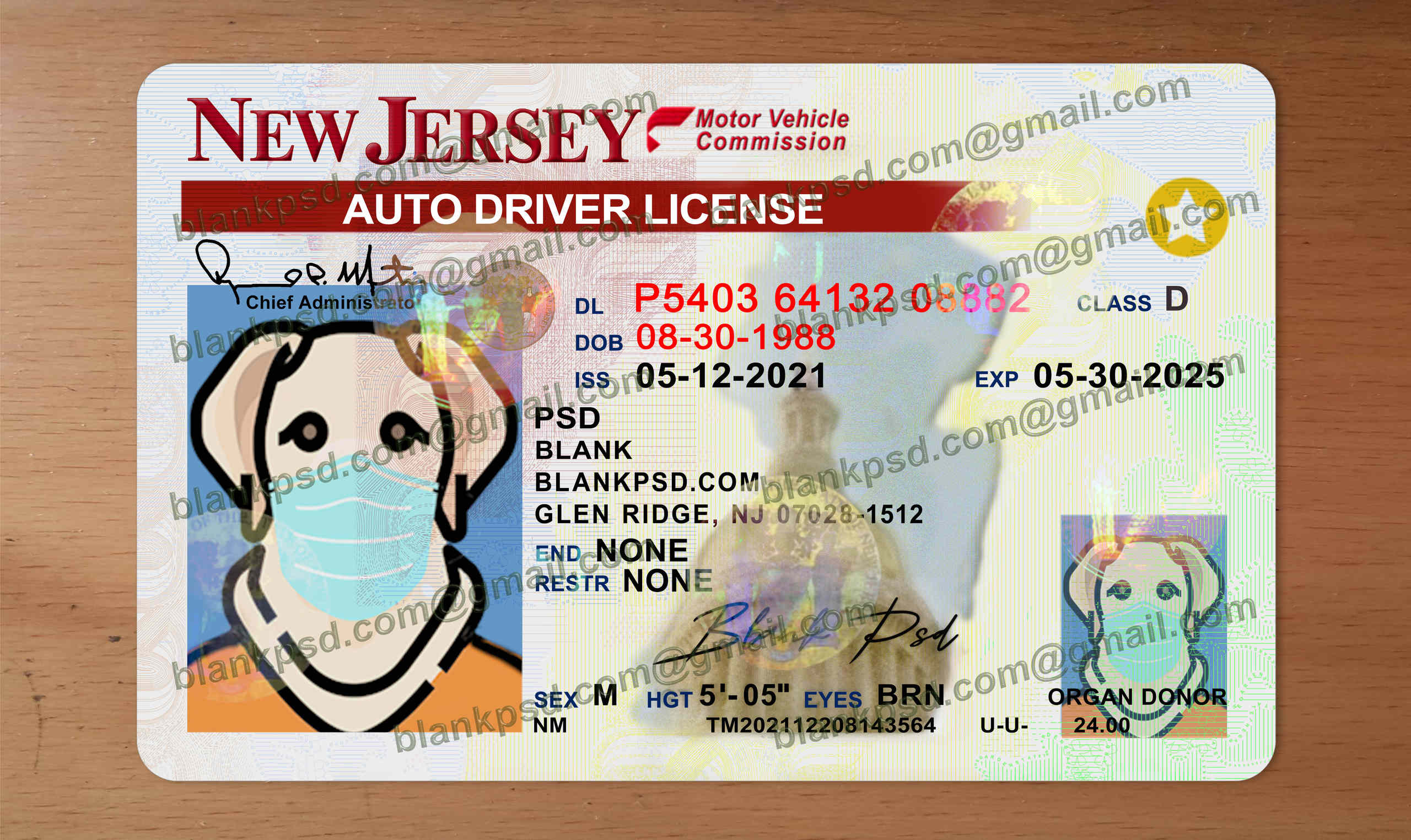 new jersey drivers license template