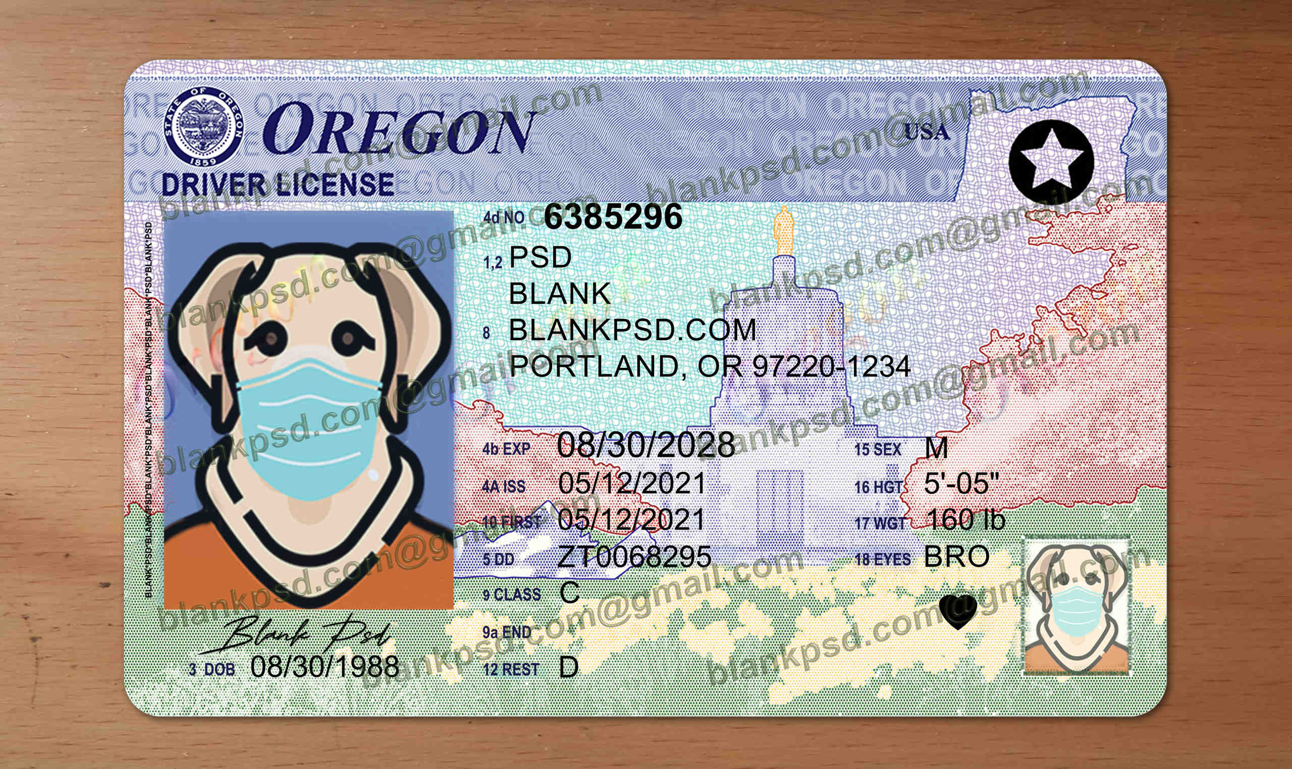 oregon drivers license template