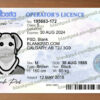 fake alberta drivers license