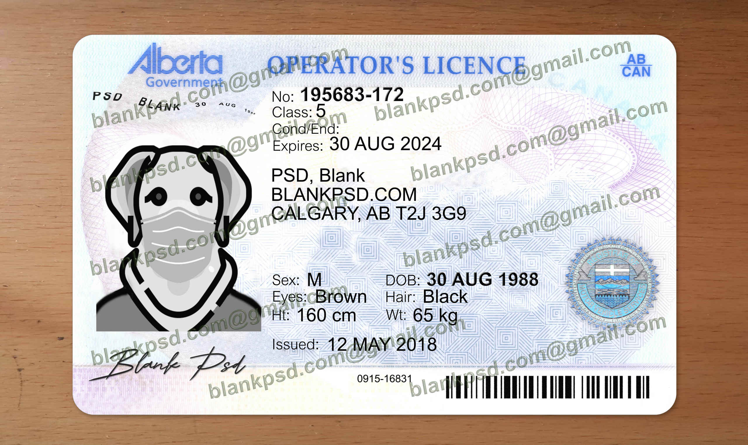 fake alberta drivers license