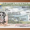 fake bc drivers license