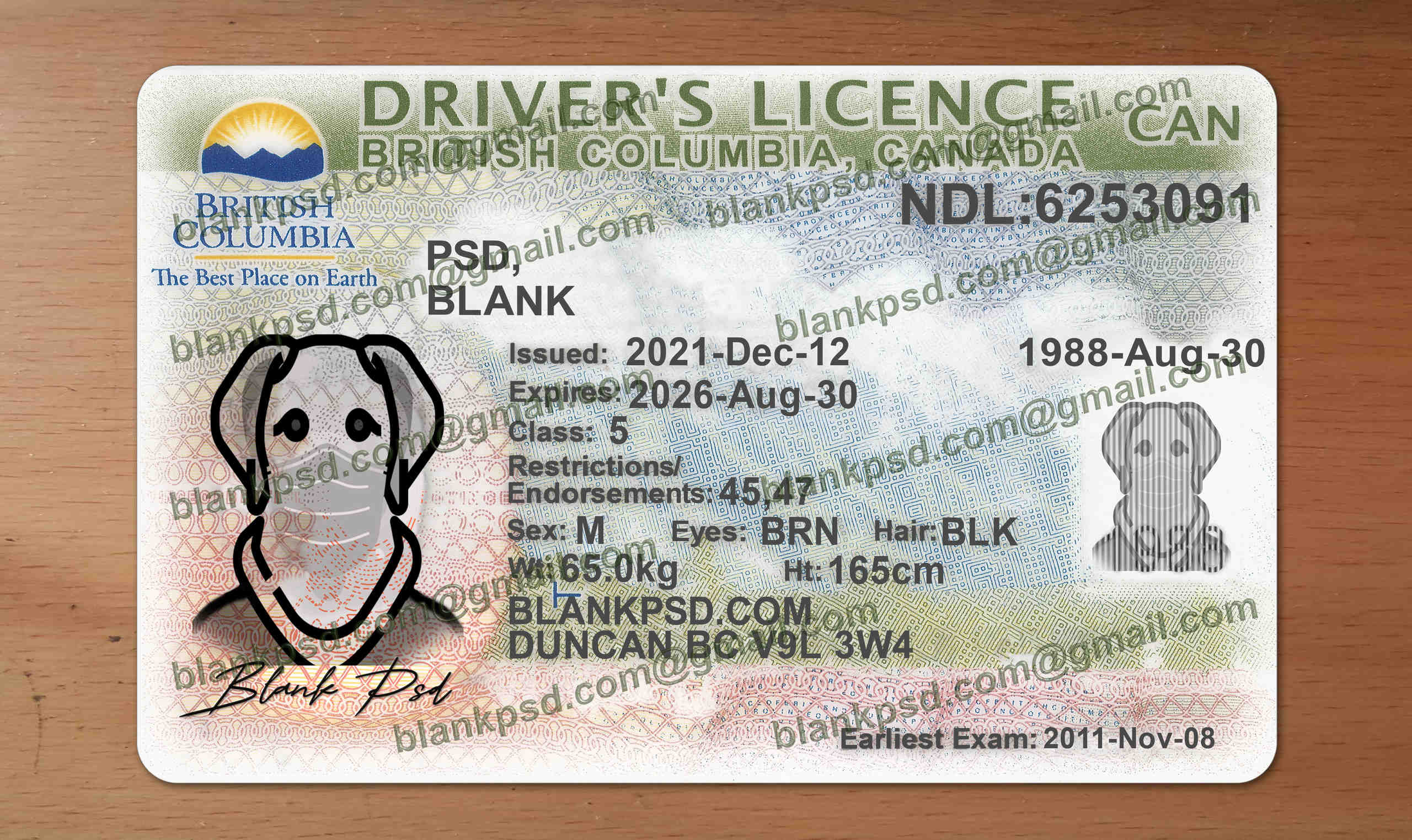 fake bc drivers license