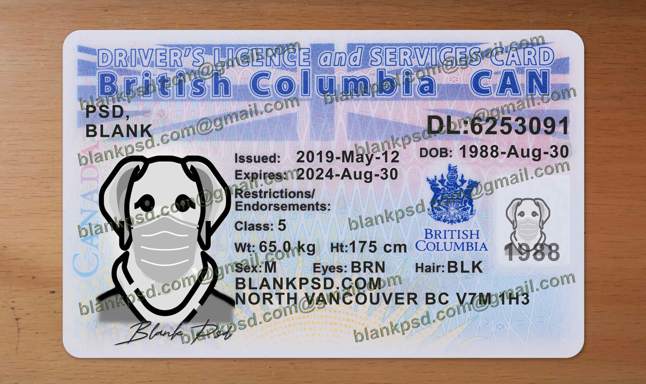 british columbia drivers license template