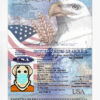 usa passport template psd