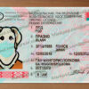 belarus drivers license template