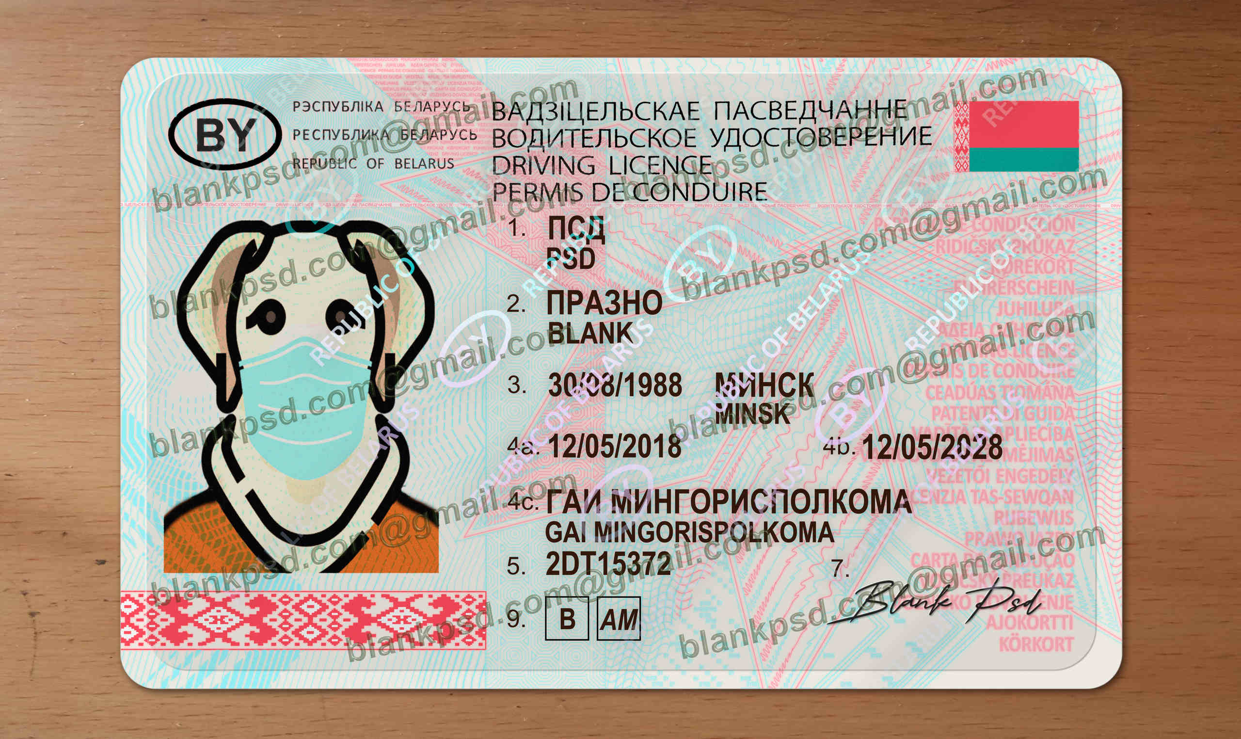 belarus drivers license template