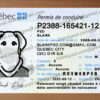 quebec drivers license template