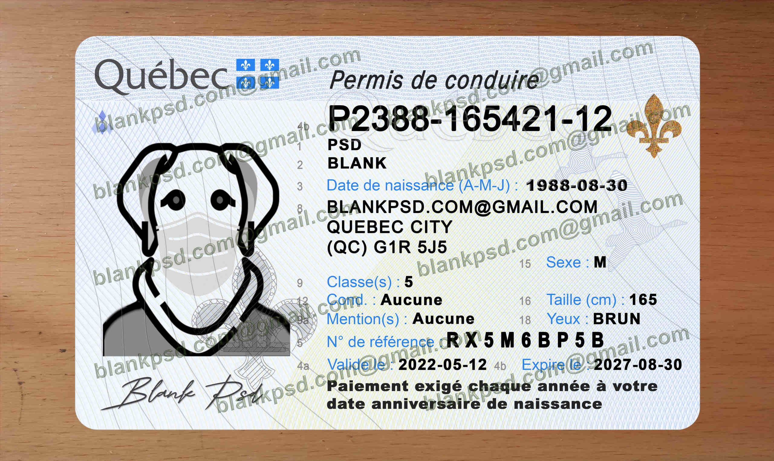 quebec drivers license template