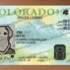 blank colorado drivers license