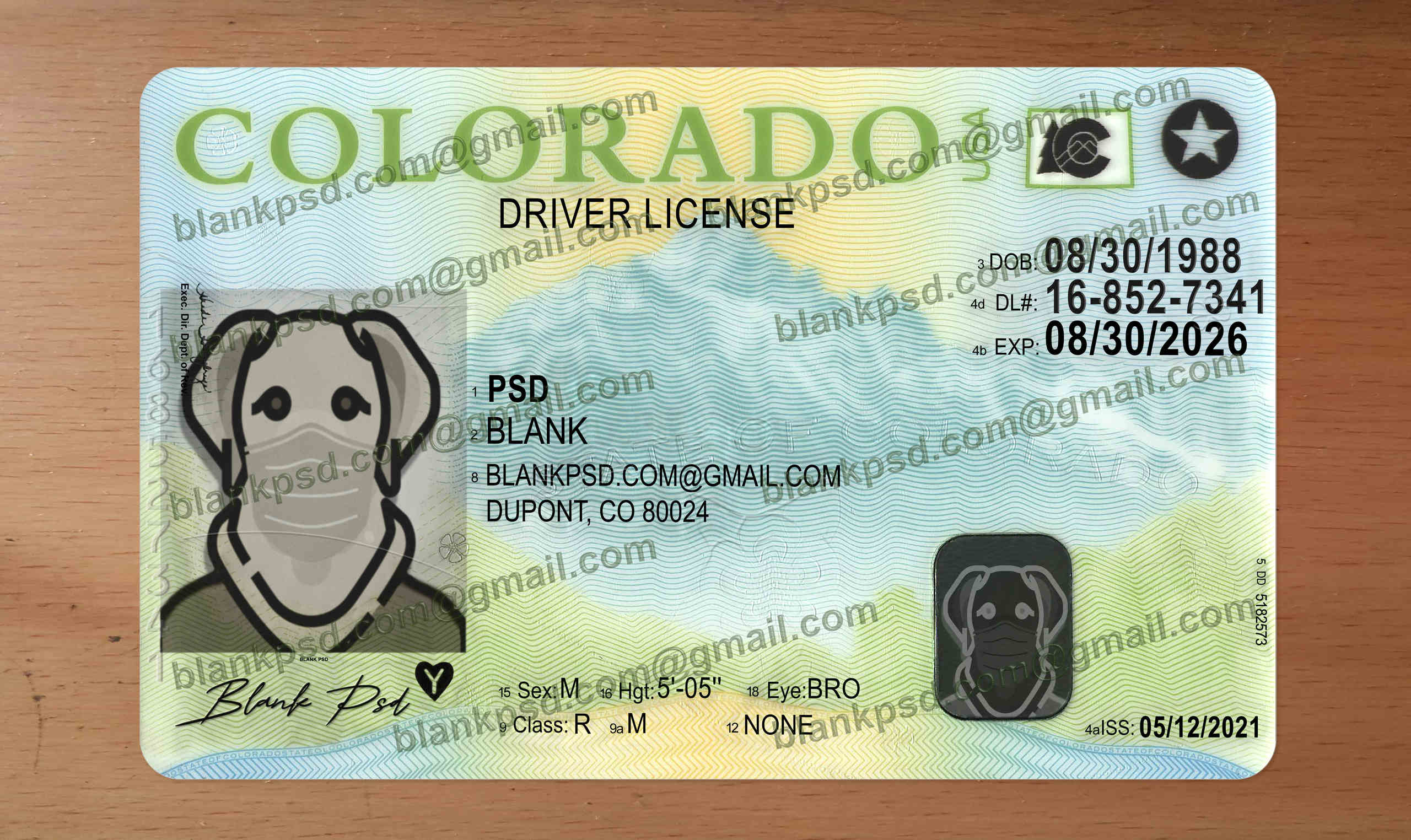 blank colorado drivers license