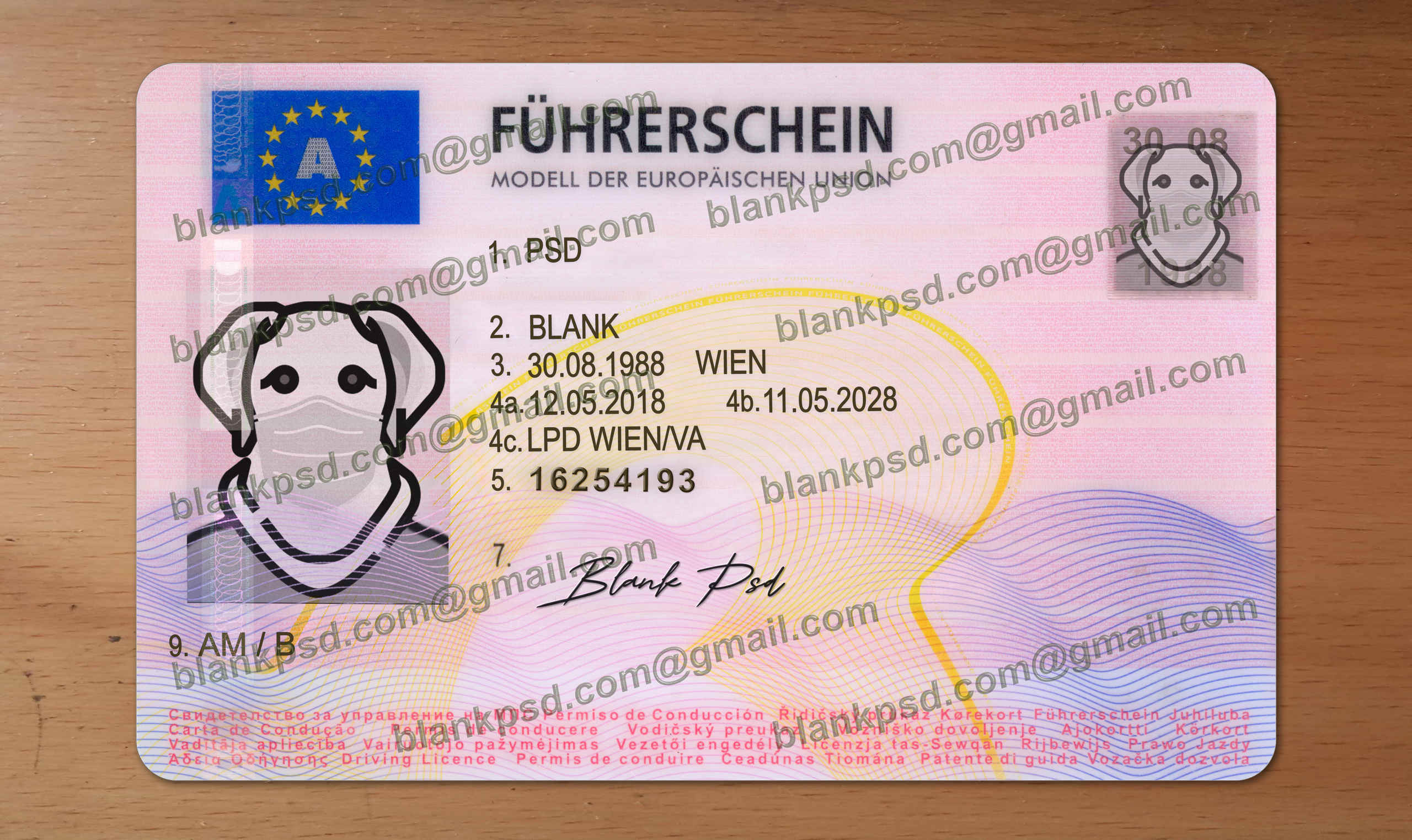 austria drivers license template